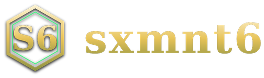 sxmnt6 logo